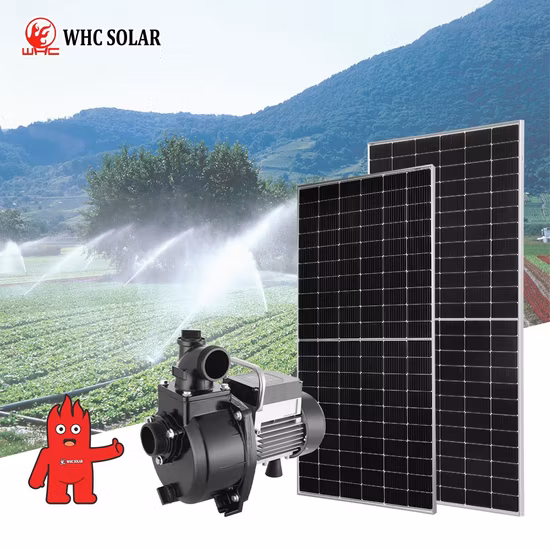 Top Quality Submersible Solar Water Pump with MPPT Controller for DC AC Hybrid, 3 Years Warranty