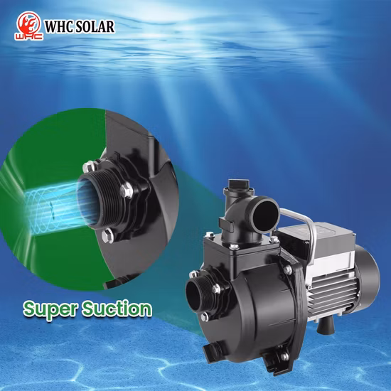 DC-AC 하이브리드용 MPPT 컨트롤러가 포함된 고품질 수중 태양광 워터 펌프, 3년 보증